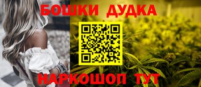крисы Кингисепп