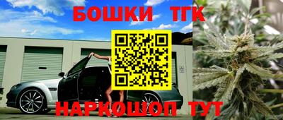 крисы Кингисепп