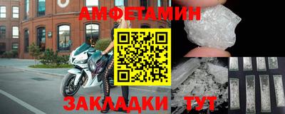 крисы Кингисепп