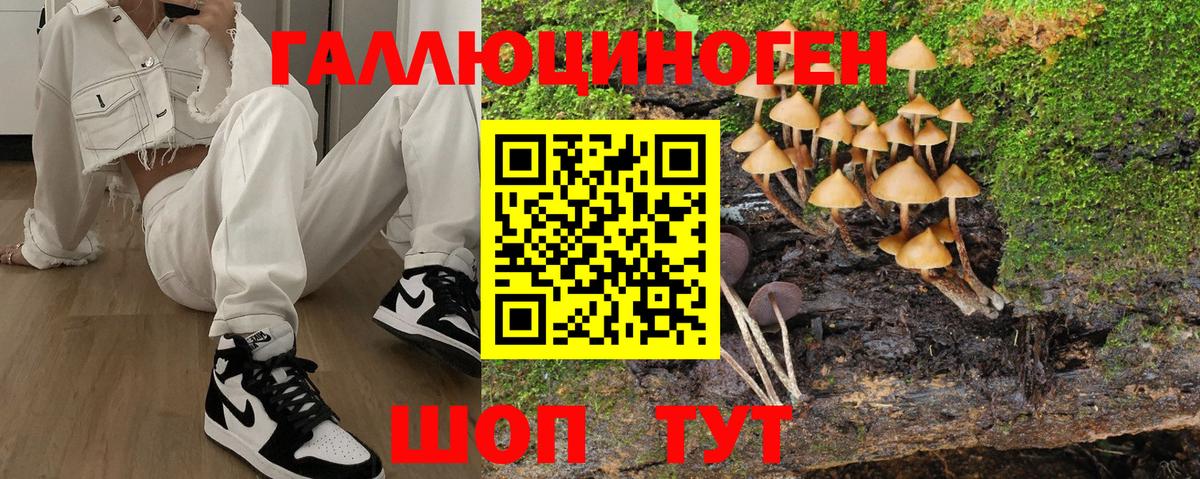 Кудрово  Галлюциногенные грибы Psilocybe  Вход с VPN  Псилоцибиновые грибы ЛСД 